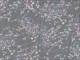 Moment - Bouquet grau Moment - Bouquet grau