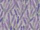 Natural garden purple Natural garden purple