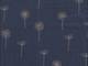 Dandelion navy Dandelion navy