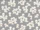 Naughty Bichons gray Naughty Bichons gray