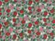 Wachstuch Erdbeeren hellblau Wachstuch Erdbeeren hellblau