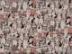 Cats salmon Cats salmon