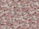 Tiny Flower Tiny Flower
