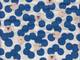 Schafe blau double gauze Schafe blau double gauze