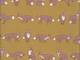 Fuchs senfgelb Fuchs senfgelb