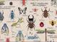 Wachstuch Insect Encyclopedia natur Wachstuch Insect Encyclopedia natur