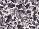 Wachstuch Autumn leaves black Wachstuch Autumn leaves black