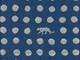 Echino Panther blau Echino Panther blau