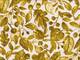 Wachstuch Autumn leaves yellow Wachstuch Autumn leaves yellow