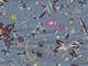 Blumenwiese hellblau Blumenwiese hellblau