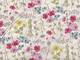 Blumenwiese natur Blumenwiese natur