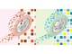 Washi Tape tile pink&green 2er Set 15mm Washi Tape tile pink&green 2er Set 15mm