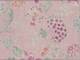 Water Color Painting pink Water Color Painting pink