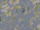 Wildblumen hellblau Wildblumen hellblau