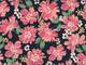 Blumen lachs Blumen lachs