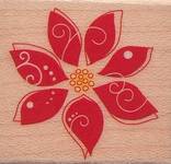 Stempel Weihnachtsstern Stempel Weihnachtsstern