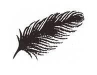 Hochzeitsstempel - Feder Hochzeitsstempel - Feder