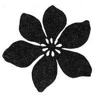 Stempel Blüte Stempel Blüte