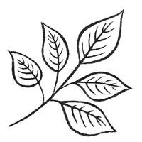 Stempel Zweig Stempel Zweig