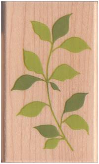 Stempel Zweig Stempel Zweig