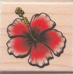 Stempel Hibiskus Stempel Hibiskus