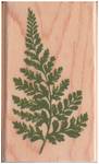 Stempel Farn Stempel Farn