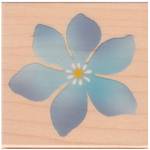 Stempel Blüte blau Stempel Blüte blau