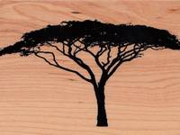 Stempel Akazien Stempel Akazien