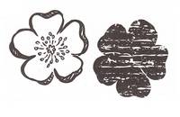 Stempelset Kirschblüte Stempelset Kirschblüte