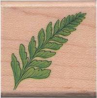 Stempel Farn Stempel Farn