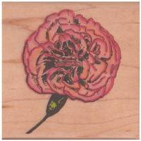 Stempel Nelke Stempel Nelke