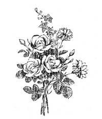 Stempel Strauß Stempel Strauß