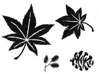 Stempelset Ahorn Stempelset Ahorn