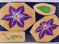 Stempelset Clematis Stempelset Clematis