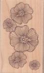 Stempel Blüten Stempel Blüten