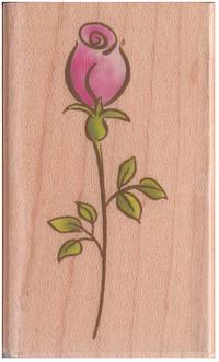 Stempel Rose