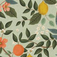 Cotton+Steel Bramble - Citrus Grove - Mint Unbleached Canvas Cotton+Steel Bramble - Citrus Grove - Mint Unbleached Canvas