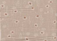 Daisy beige Daisy beige