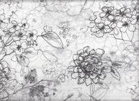 Draw a Flower weiß Draw a Flower weiß
