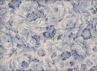 Rosen blau Rosen blau