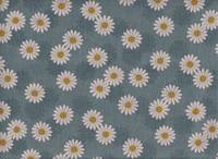 Daisy blue Daisy blue