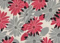 Daisy red Daisy red