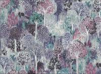 Wonder forest violet Wonder forest violet
