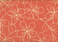 Smiling 150 lachs Smiling 150 lachs