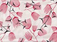 Calice flower red Calice flower red