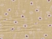 Daisy yellow Daisy yellow