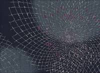 Chrysanthemen groß navy Chrysanthemen groß navy