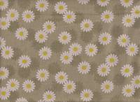 Daisy moss green