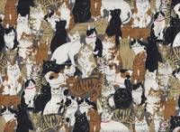 Katzenhaufen grau Katzenhaufen grau