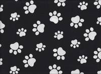 Pfoten schwarz Pfoten schwarz